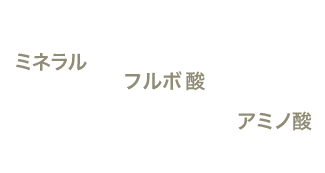 フルボ酸など